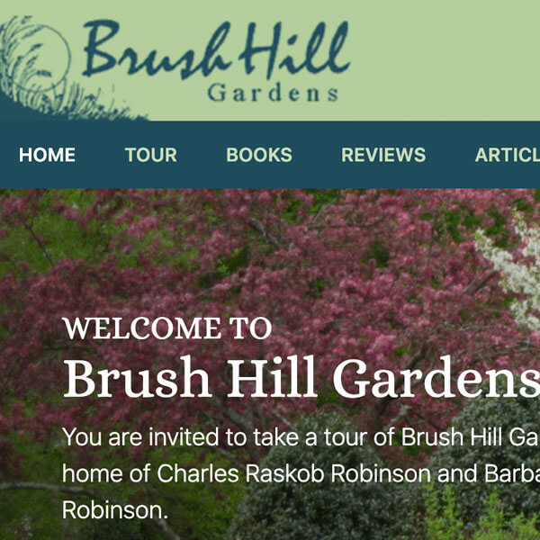 Brush Hill Studios Website