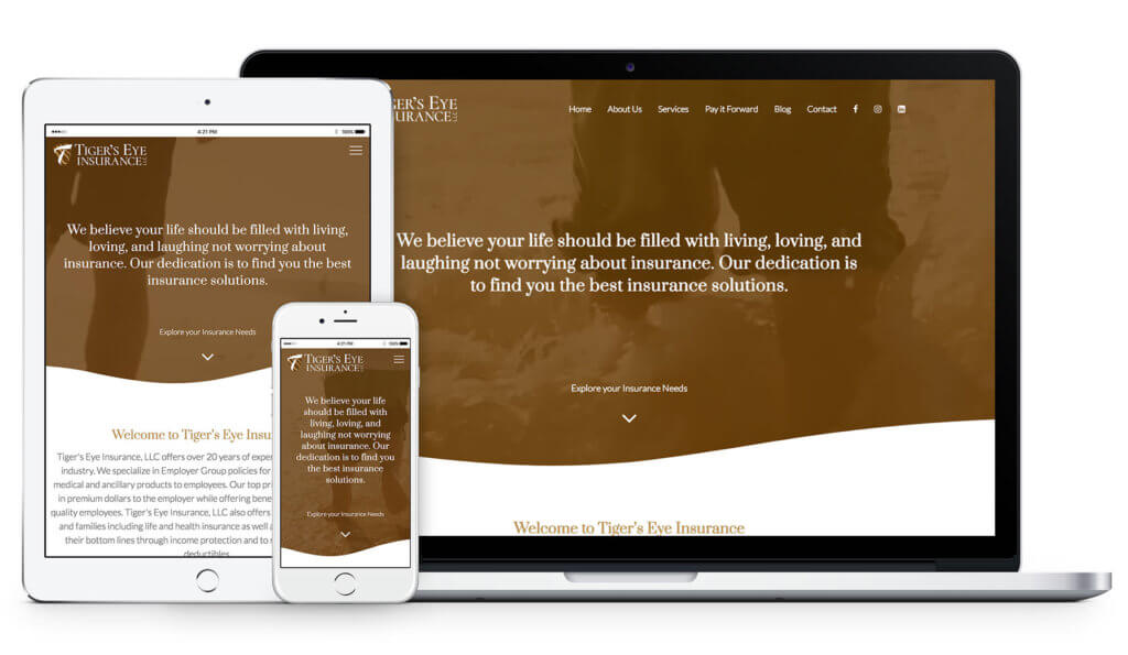 Tigers Eye website design media