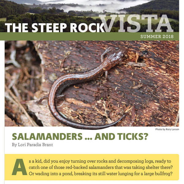 Steep Rock Newsletter