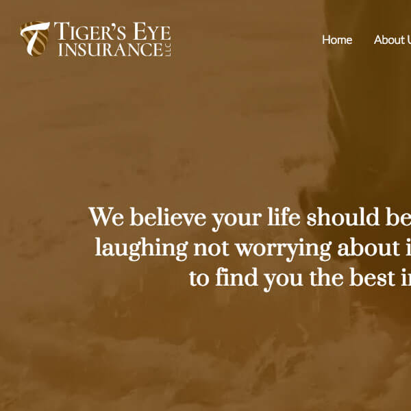Tiger Eye website thumb